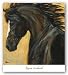 Strider II, Detail by Karen Leibrick 18"x18" Art Print Poster