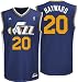 Search : Utah Jazz Jersey: adidas 2010 Purple Gordon Hayward Replica Utah Jazz Jersey