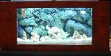 Aqua Bella Solid Oak 49 Burlwood Aquarium