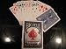 Bicycle Six-handed Five Hundred Playing Cards