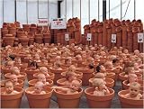 123 Pots by Anne Geddes. Size 31.50 X 23.75