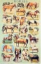 Horses Poster