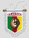 -Fanion Voiture Lions Indomptables Cameroun - 13 x 15 cm - Blason Ecusson Football