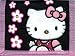 Hello Kitty : Trifold Wallet - Black & Pink