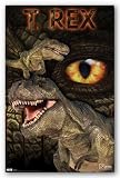 (22x34) Dinosaur T-Rex Art Print Poster