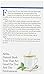 Alvita Tea Bags, Dandelion Root (Roasted), Caffeine Free, 24 Tea Bags, Net Weight. 1.69 Ounce