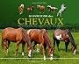 Le livre d'or des chevaux : L'encyclop�die des chevaux et de l'equitation