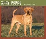 Labrador Retrievers, Yellow 2008 Boxed