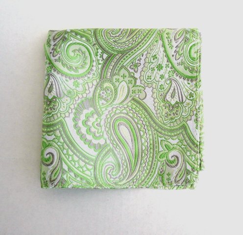 100% Silk Woven Apple Paisley Pocket Square