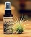 Hinterland Trading Air Plant Tillandsia Food 2floz Spray Bottle Air Plants Fertilizer 17-8-22