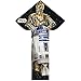 Star Wars (R2-D2 & C3PO) Breezy Flyer
