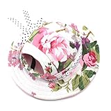 WINOMO Round Brim Pet Cap Visor Hat Pet Dog Mesh Porous Sun Cap with Ear Holes for Small Dogs - Size M (Floral Print)