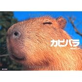 カピバラ