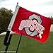 College Flags & Banners Co. Ohio State Golf Cart and Boat Flag