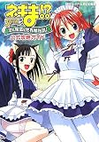 ネギま!?‐3時間目 恋と魔法と世界樹伝説!公式攻略ガイド (講談社ゲームBOOKS)