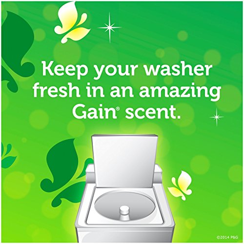 Gain Washing Machine Cleaner, 4 Count Home Garden Household Supplies