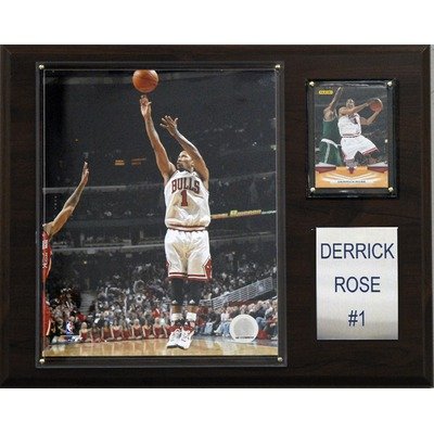 NBA Chicago Bulls Derrick Rose Player Plaque