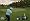 Tiger Woods PGA Tour 11