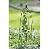 Outdoor Greenhouse Garden Trellis Obelisk Stake by Ewins