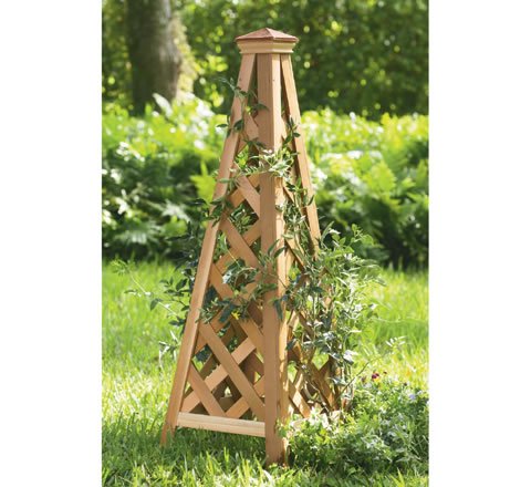 Copper-Top Trellis Pyramid