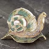 SNAIL BOX