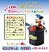 ミッキーマウス 魔法のビンゴ