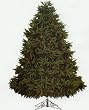 9' Full Fresh Cut Durango Spruce Artificial Christmas Tree Pre-Lit Multi Lights