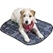 PetEdge Miracool Dog Mat, Large, 36-Inch, Cowboy Blue