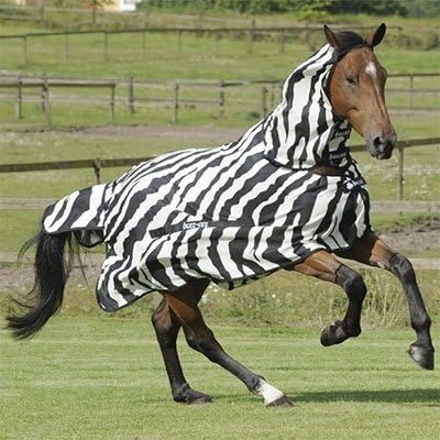Bucas Zebra Fly Sheet 72