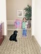 GMI Guardmaster II Tall/Wide Wire Mesh Expansion Gate