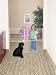 GMI Guardmaster II Tall/Wide Wire Mesh Expansion Gate