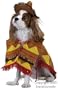 Pet Little Bandito Dog Costume For Large Dogs