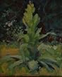 Mullein