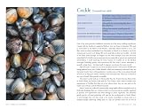 picture of Edible Seashore: River Cottage Handbook No.5