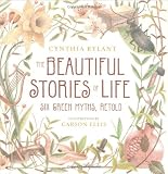The Beautiful Stories of Life: Six Greeks Myths, Retold