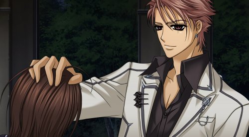 Cover image : ヴァンパイア騎士DS(限定版) 特典 シチュエーションボイスCD付き