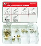 Interdynamics VC-ASST Air Conditioning Valve Core Assortment - Pack of 1