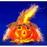 Pumpkin Fiber Optic