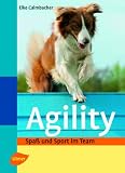 Agility: Spaß und Sport im Team