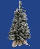 2.5′ Pre-Lit LED Frosted Jackson Pine Christmas Tree in Burlap Sack – Multi