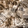Image of album by Twin Shadow