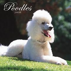 Poodles 2009 Square Wall Calendar