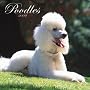 Poodles 2009 Square Wall Calendar