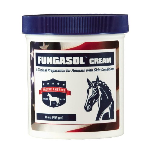 Equine America Fungasol Ointment