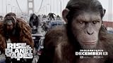 Rise of the Planet of the Apes (Two-Disc Edition Blu Ray + DVD/Digital Copy Combo) [Blu-ray]