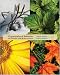 Organizational Behavior:  Key Concepts, Skills & Best...