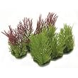 Willow Moss - 3 in.