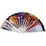 ACC Mini Pennant Set (all 12 Teams)