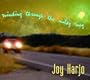 Winding Through the Milky Way