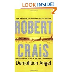 Demolition Angel
